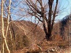 -灵山