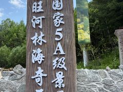 -汤旺河林海奇石景区