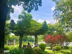 -东莞植物园