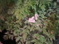 -大小河街