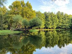 -上海共青森林公园