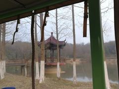 -宜兴龙背山森林公园