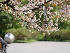 -黄兴公园