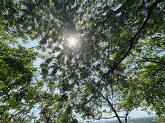 -采石矶景区