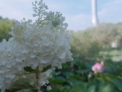 -沈阳植物园