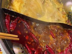 -朱光玉火锅馆(正弘城店)