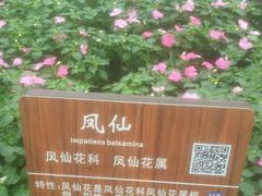 -仁和公园(顺义区)