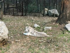 -西安秦岭野生动物园