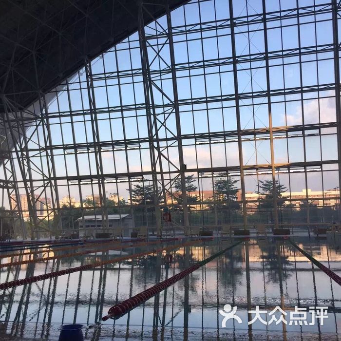 深圳大学城游泳馆