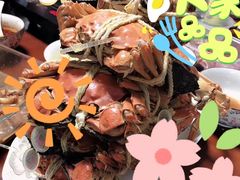-黄记大闸蟹专卖店·活蟹·醉蟹
