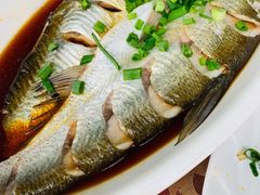 -晓琦农家菜馆·地道农家菜