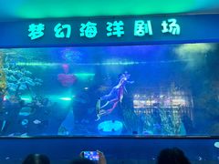 -聊城海底世界
