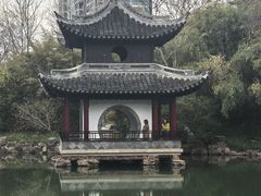 -水绘园