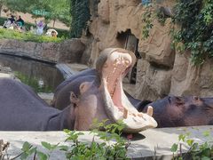 -沈阳森林动物园