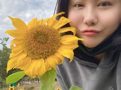 -红山村