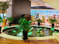 -皇朝尊会(龙之梦大酒店)