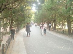 -八大关景区