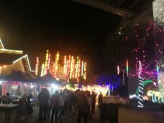 -大渡口区义渡公园