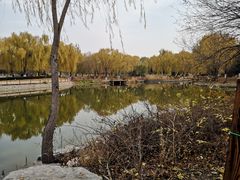 -燕郊植物园