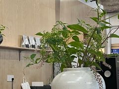 -麻雀咖啡SPARROW COFFEE(十全街店)