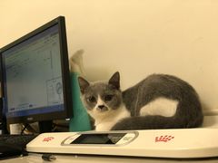 -爱诺耐芙动物医院(万博店)