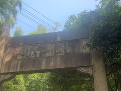 -紫金山山顶公园