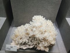 -贵州省地质博物馆