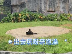 -武汉动物园