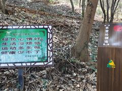 -东山风景区(洞庭东山)