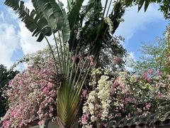 -深圳国际园林花卉博览园