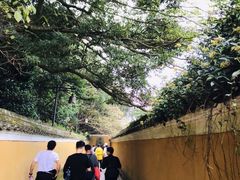 -普陀山慧济禅寺