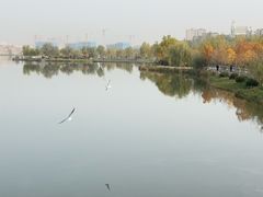 -东湖公园
