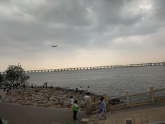 -宝安西湾红树林湿地公园