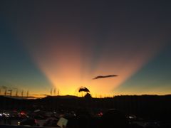 -世界恐龙谷景区