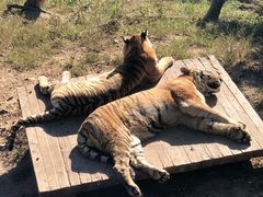 -大连森林动物园