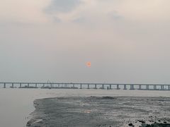 -宝安西湾红树林湿地公园