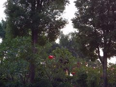 2011-12-15_07-44-42_496-广州香格里拉酒店