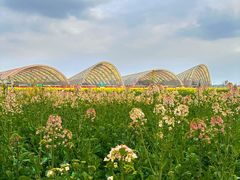 -中国天府农业博览园