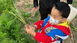 -前小桔亲子创意农场·草莓采摘·露营烧烤