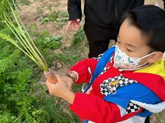 -前小桔亲子创意农场·草莓采摘·露营烧烤