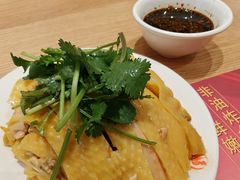 -振鼎鸡(丰庄路店)