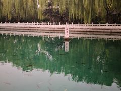 -泉城广场