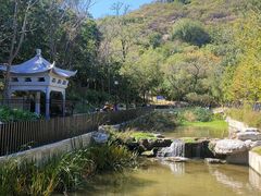 -白水寺森林公园