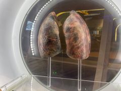 -广东科学中心