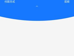 -麦当劳(开萝大道店)