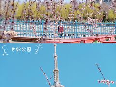 -石家庄市植物园