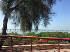 -宝安西湾红树林湿地公园