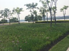 -上海外滩茂悦大酒店