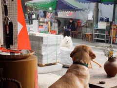-悟饮门市景店