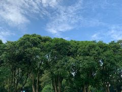 -华南国家植物园-售票处